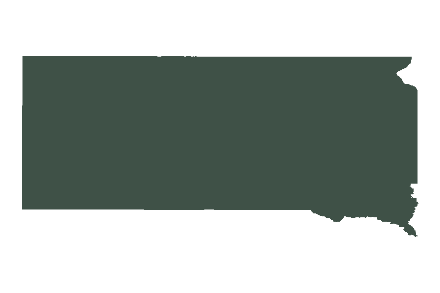 Accurate South Dakota silhouette